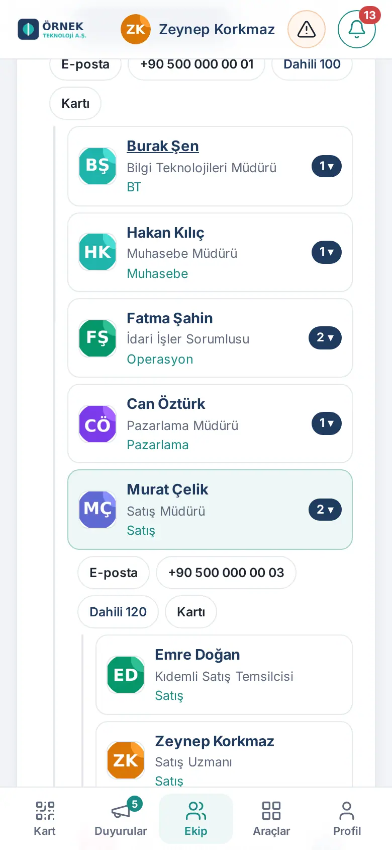 Organizasyon şeması: Satış Müdürü ve ekibi açık