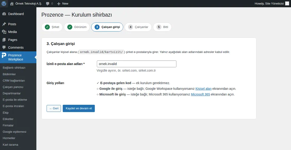 Kurulum sihirbazı 3. adım: İzinli e-posta alan adları ve giriş yolları