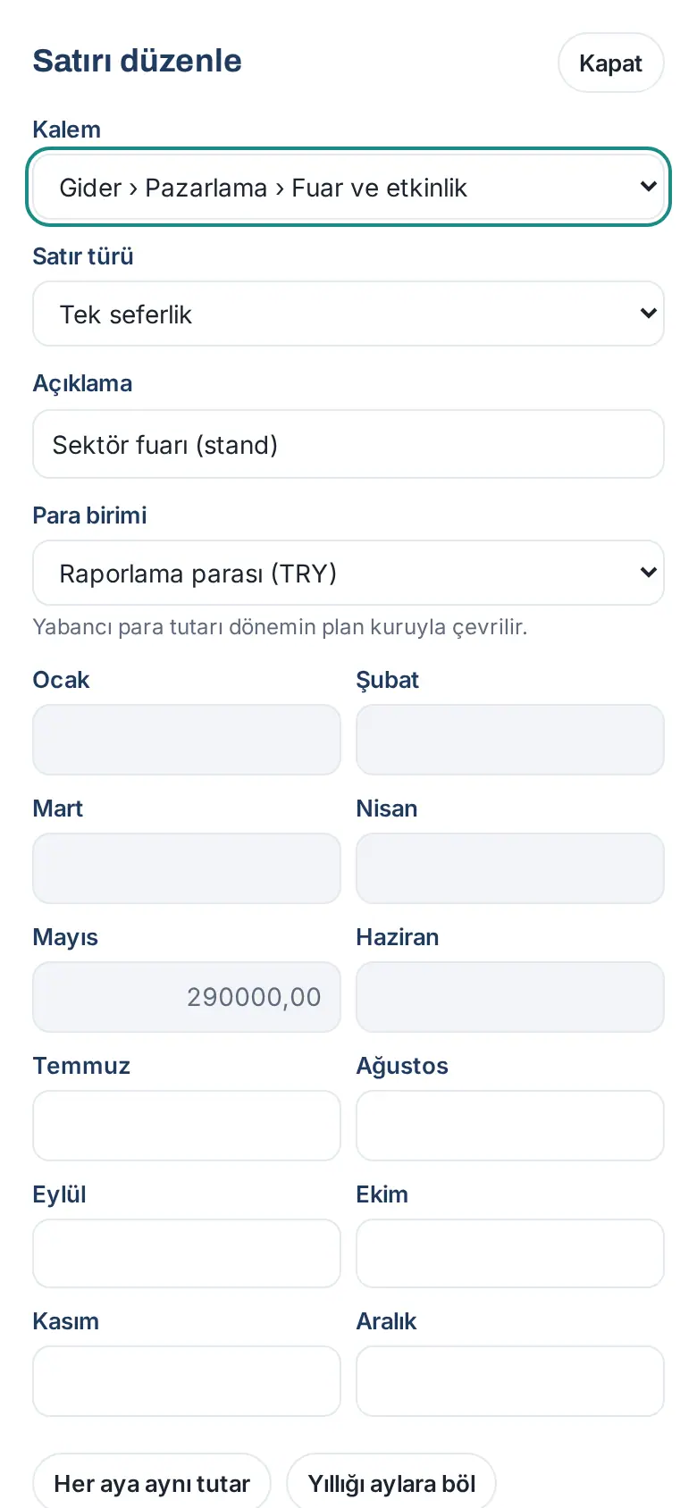 Telefonda Satırı düzenle (revizede): tam ekran pencerede kalem, satır türü, para birimi ve iki sütunda 12 ay; başlangıç ayından önceki aylar gri